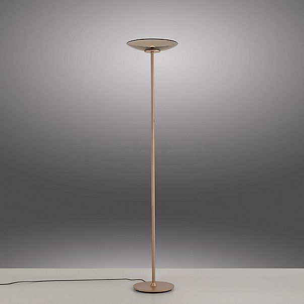 Neuhaus PURE® by Paul Neuhaus Moon Lampadaire LED bronze