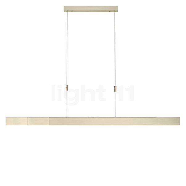 Neuhaus PURE® by Paul Neuhaus Moto Hanglamp LED goud - e-SLIDE®