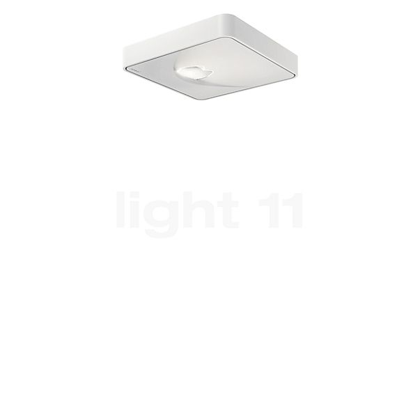 Nimbus Q One, lámpara de techo LED incl. convertidor