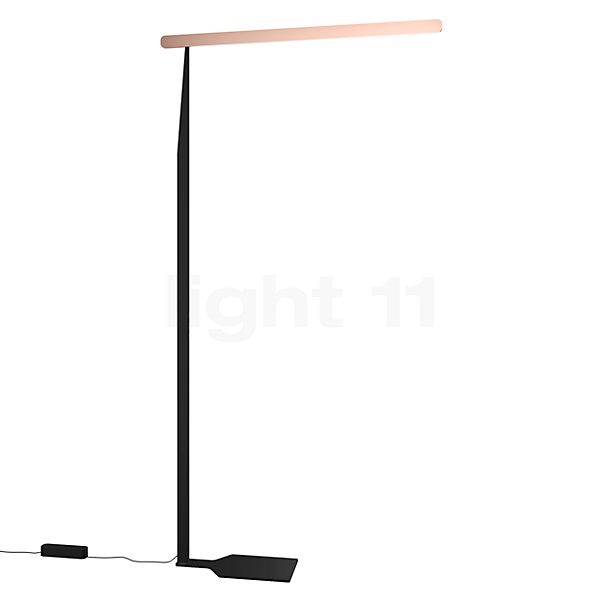 Occhio Mito Terra Fix Floor Lamp LED head gold matt/body black matt - 220 cm