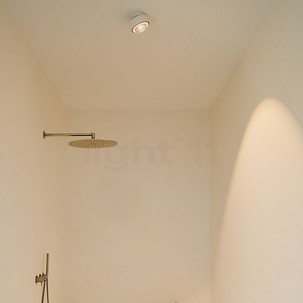 Occhio Più R Alto Volt S30 Ceiling Light LED head gold matt/ceiling rose black matt/cover black matt - 2,700 K
