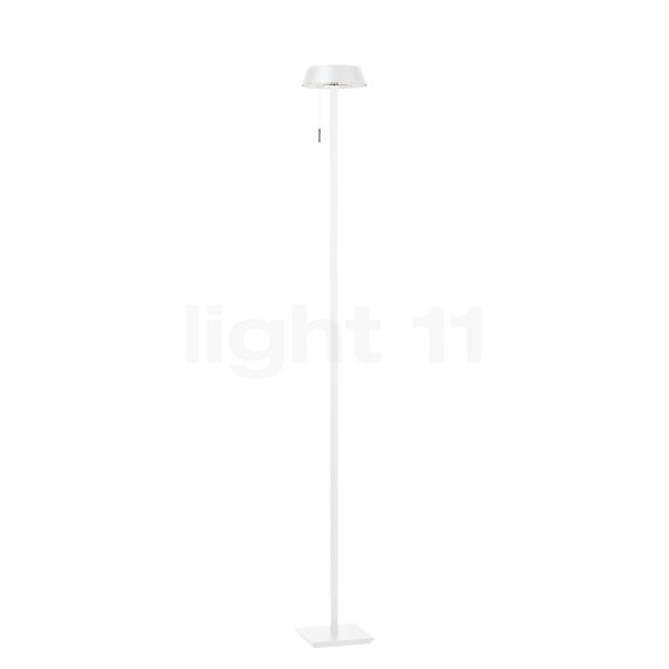 Oligo Glance Floor Lamp LED