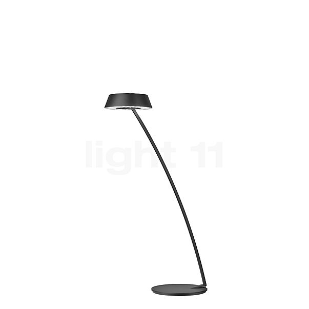 Oligo Glance Lampe de table LED courbé