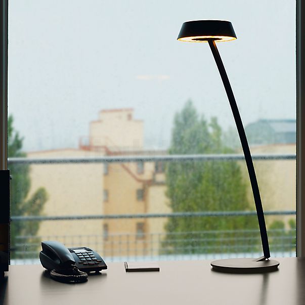 Oligo Glance Lampe de table LED courbé gris mat