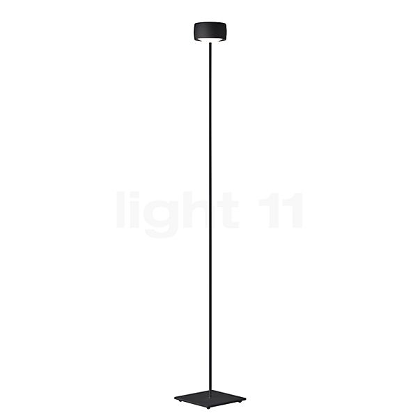 Oligo Grace Lampada da terra LED nero opaco