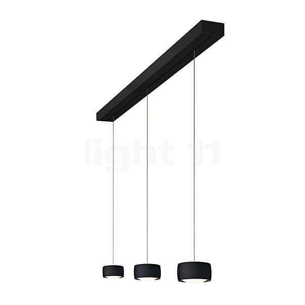 Oligo Grace Pendant Light LED 3 lamps - invisibly height adjustable Lamp Canopy black - cover black - head black