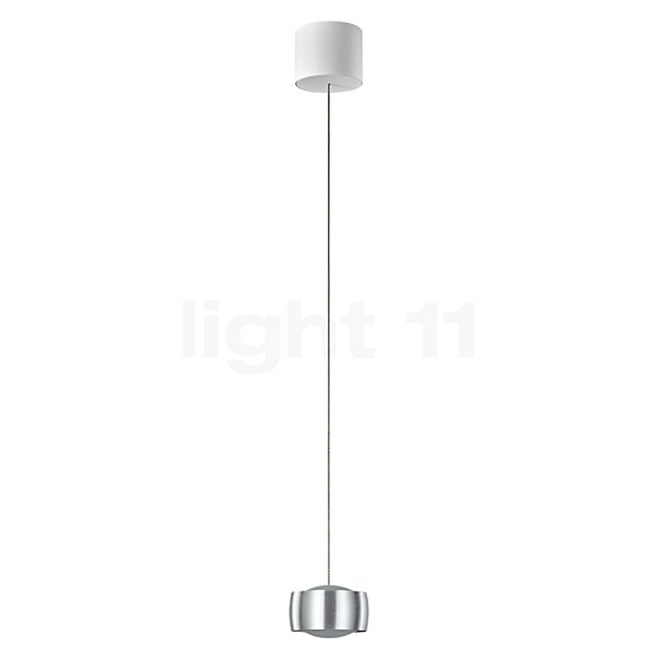 Oligo Grace Suspension LED 1 foyer - réglage en hauteur invisible