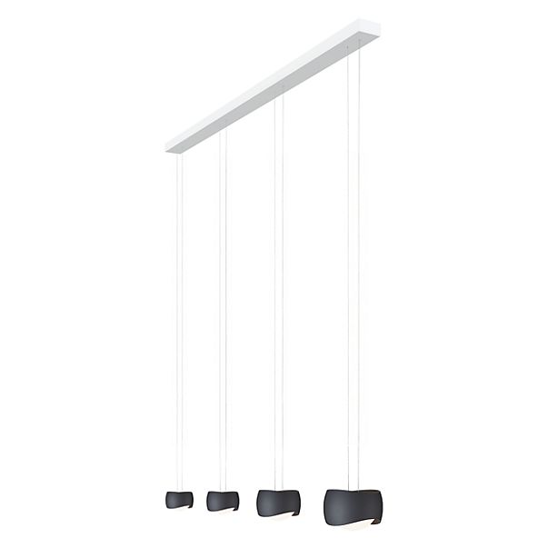 Oligo Slack-Line Curved, lámpara de suspensión LED 4 focos