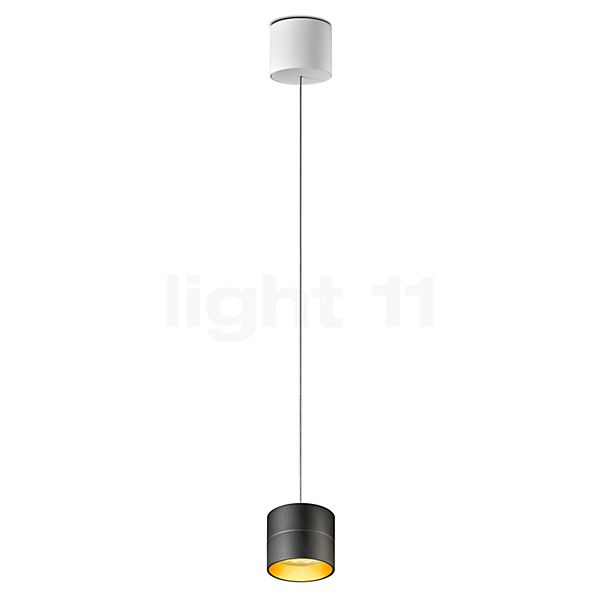 Oligo Tudor Pendelleuchte LED - unsichtbar höhenverstellbar schwarz/gold - 9,5 cm
