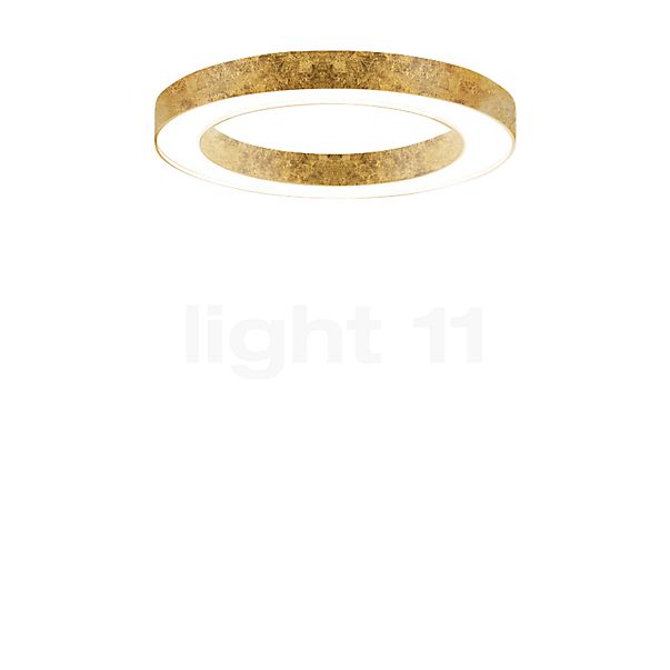 Panzeri Silver Ring Loftlampe LED
