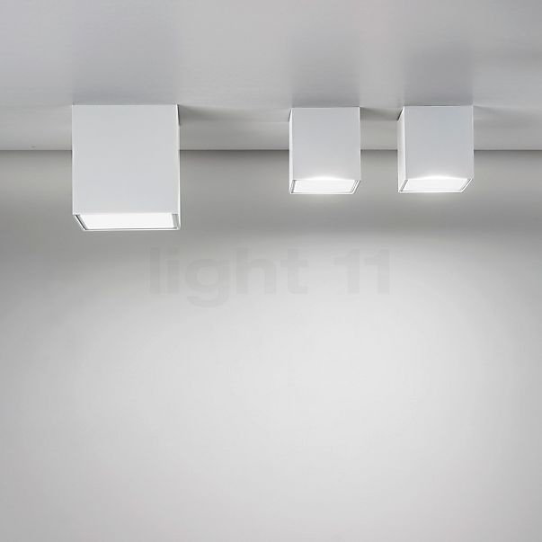 Panzeri Three Deckenleuchte LED messing - 15 cm , Lagerverkauf, Neuware