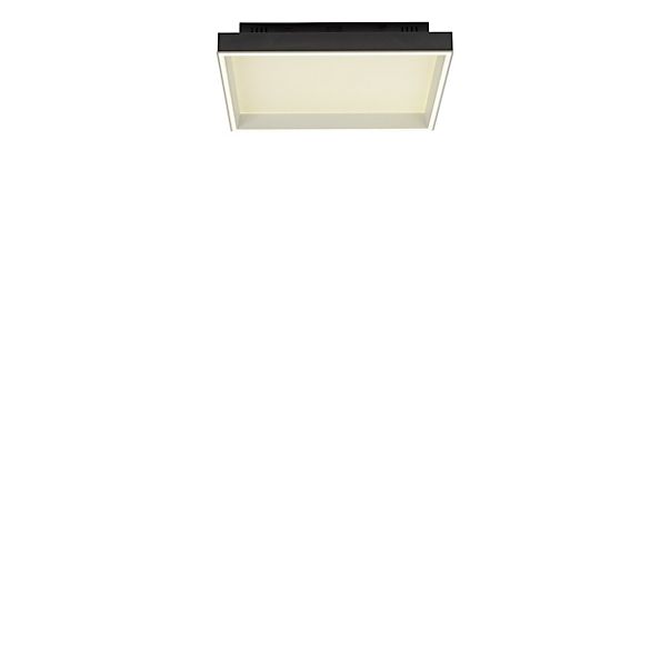 Paul Neuhaus Q-Magong, lámpara de techo LED negro - cuadrado