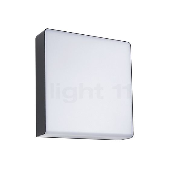 Paulmann Azalena Solar-Wall- and Ceiling Light LED