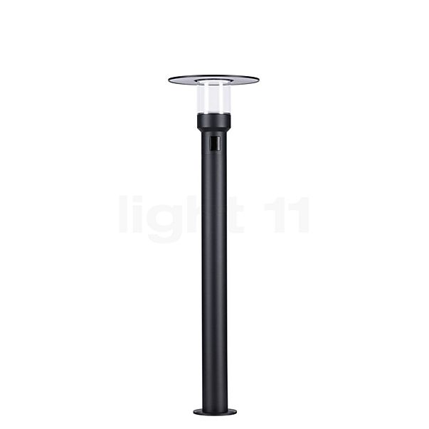 Paulmann Sienna Bollard Light LED