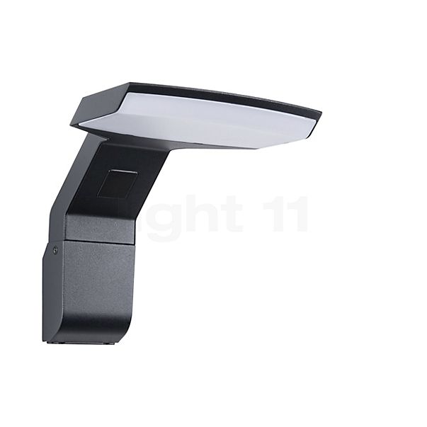 Paulmann Zerena Wandlamp LED