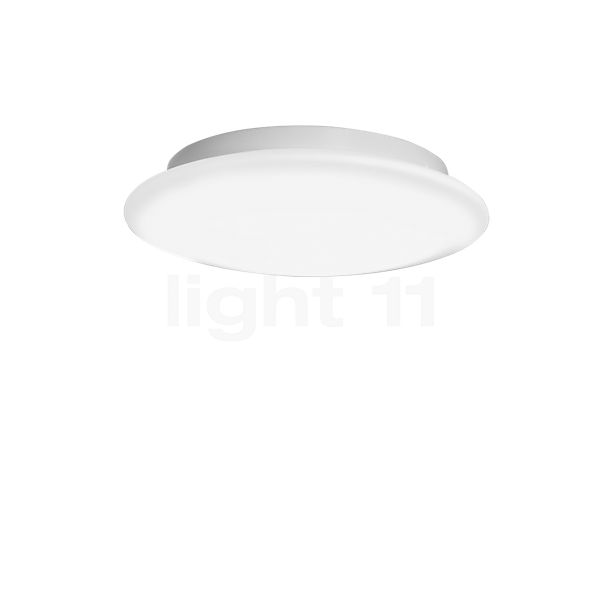 Peill+Putzler Ciclo lofts-/væglampe LED