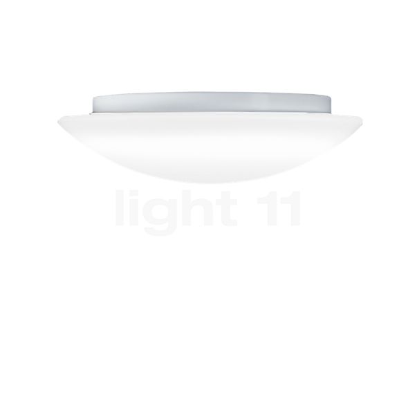 Peill+Putzler Cuna Ceiling- and Wall Light