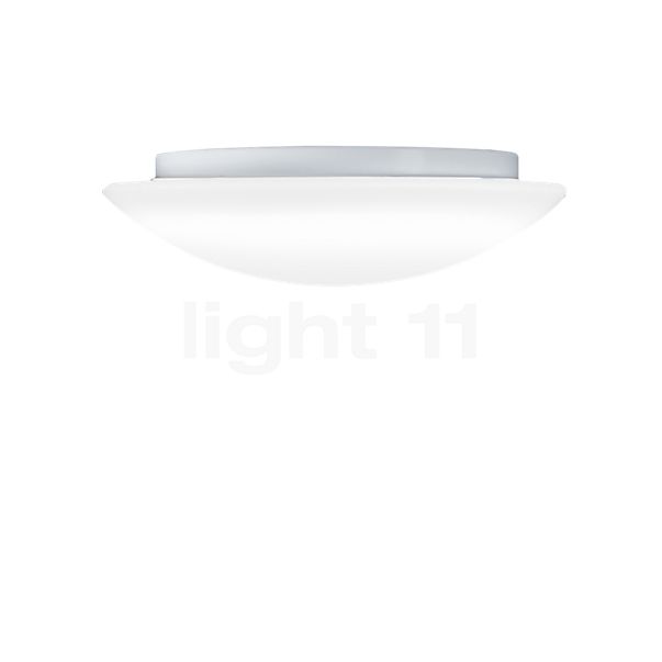 Peill+Putzler Cuna Lampada da soffitto e parete