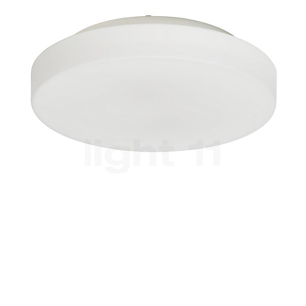 Peill+Putzler Rasa Plafond-/Wandlamp LED