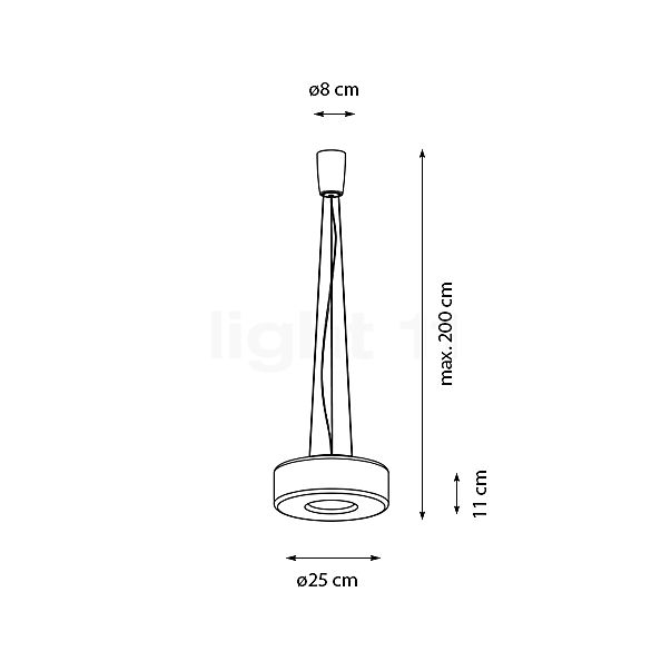 Serien Lighting Curling Lampada a sospensione LED vetro - M - diffusore esterno traslucido chiaro/diffusore interno conico - 2.700 K - vista in sezione