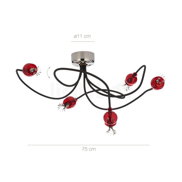 Die Abmessungen der Serien Lighting Poppy Wall 5 Arme rot/schwarz im Detail: Höhe, Breite, Tiefe und Durchmesser der einzelnen Bestandteile.