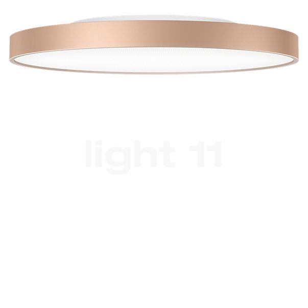 Serien Lighting Slice² Pi Loftlampe LED guld - ø33,5 cm - 2.700 k - med indirekte andel