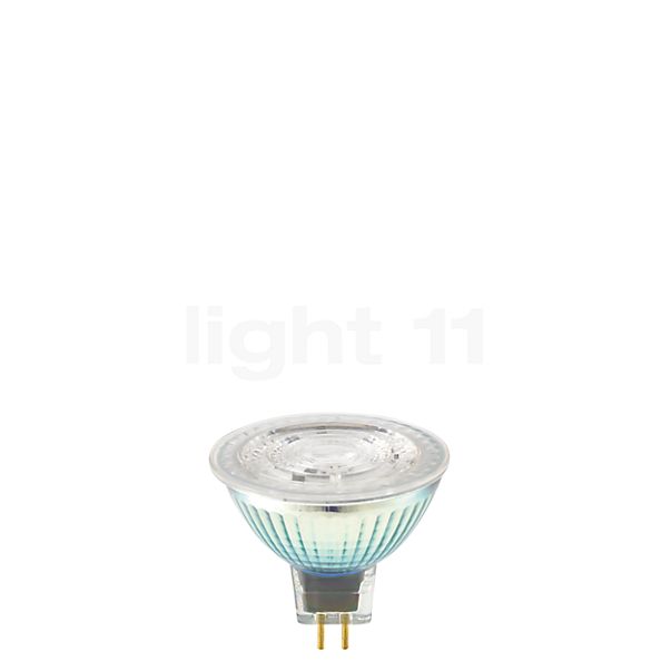 mulighed forvrængning For det andet Buy Sigor PAR16-dim 6,5W/c 24° 927, GU5,3 LED at light11.eu