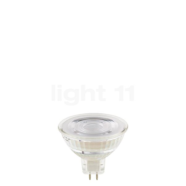 Buy Sigor 8W/c 36° 927, GU5,3 LED at