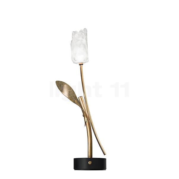 Slamp Tulip, lámpara recargable LED