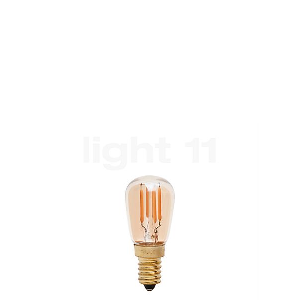 Buy Tala 2W/gd 922, E14 LED at light11.eu