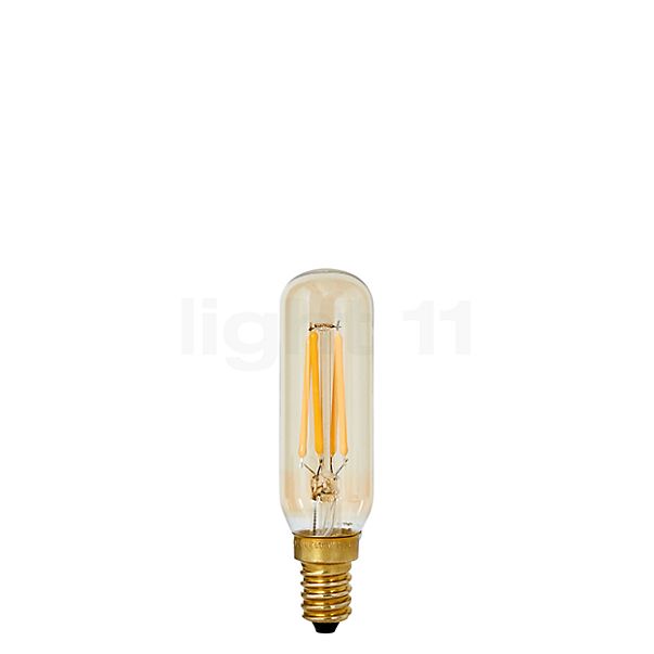nieuws Mantsjoerije Tactiel gevoel Buy Tala T20-dim 3W/gd 922, E14 LED at light11.eu