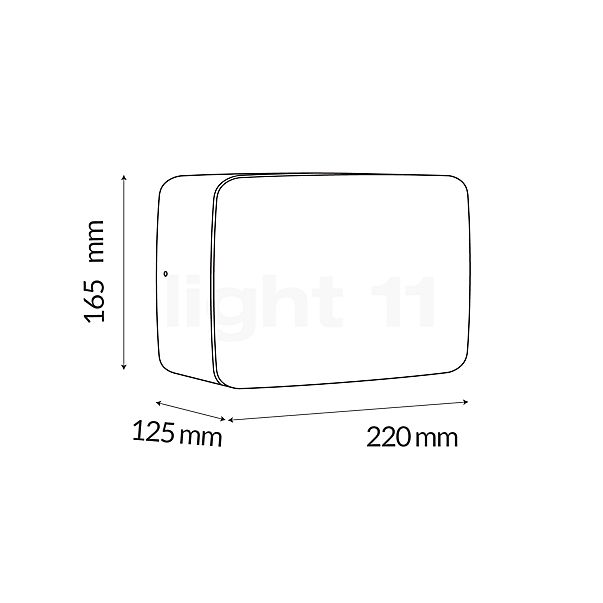 Tunto Cube Applique/Plafonnier LED chêne - S , Vente d'entrepôt, neuf, emballage d'origine - vue en coupe
