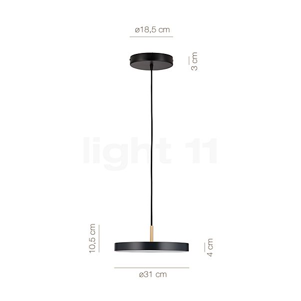 Measurements of the Umage Asteria Mini Pendant Light LED anthracite - Cover brass in detail: height, width, depth and diameter of the individual parts.