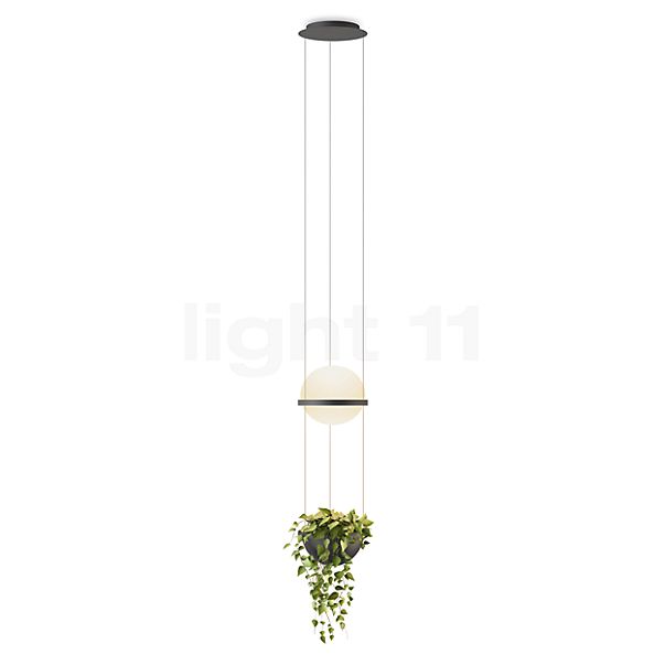 Vibia Palma Pendel LED med urtepotte grafit - 40 cm - casambi