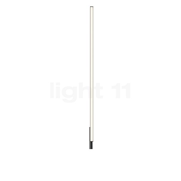 Vibia Spa Applique LED vertical noir - 212 cm - dali