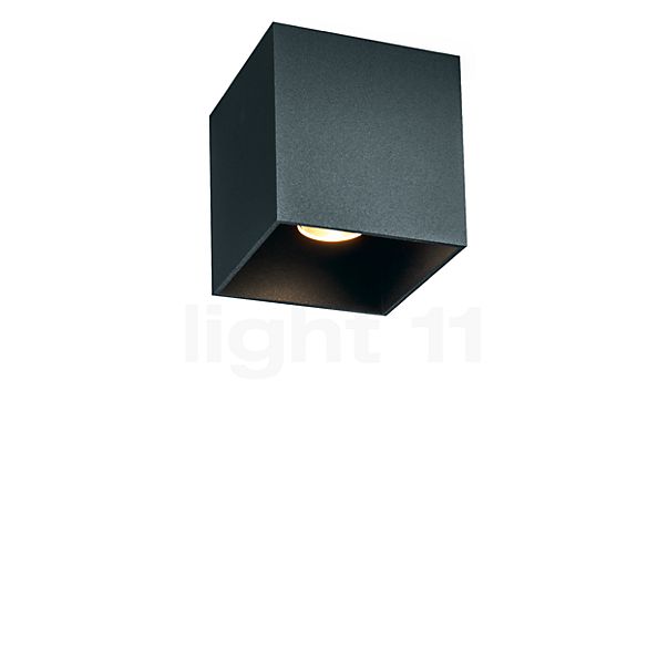 Wever & Ducré Box 1.0 Loftslampe LED Outdoor antrazitgrå - 2.700 K