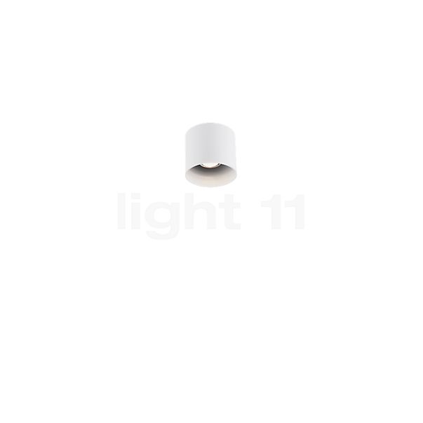 Wever & Ducré Ray 1.0 Ceiling Light PAR16