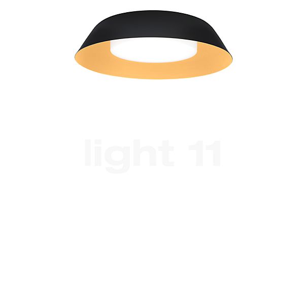 Wever & Ducré Towna 1.0 Lampada da soffitto LED nero/dorato