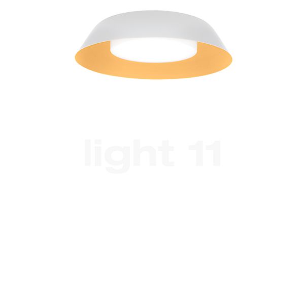 Wever & Ducré Towna 1.0, lámpara de techo LED blanco/dorado