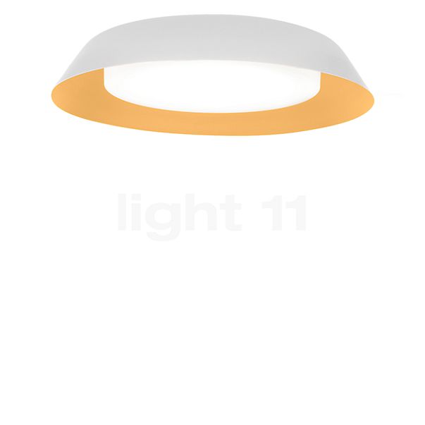 Wever & Ducré Towna 2.0 Loftlampe LED