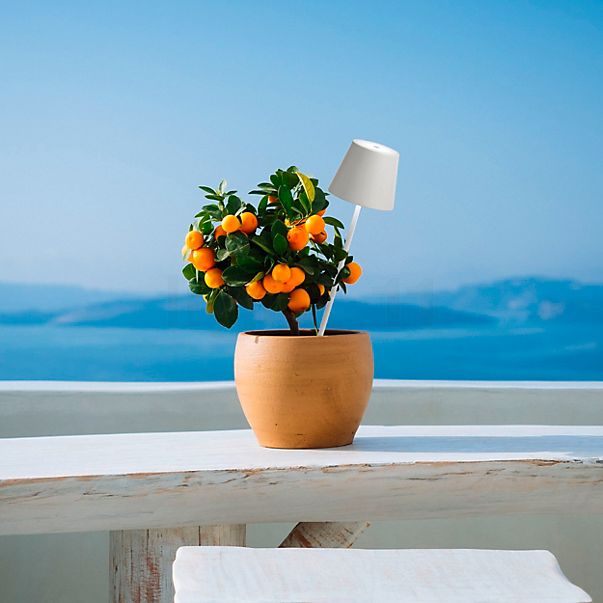 Zafferano Poldina, lámpara recargable LED con piqueta para jardín blanco