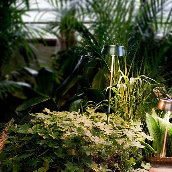 Zafferano Sister Lampada ricaricabile LED con picchetto da interrare per giardino rame