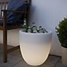 8 seasons design Shining Curvy Cooler Table Lamp incl. lamp application picture