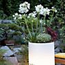 8 seasons design Shining Elegant Pot, lámpara de suelo blanco - ø39 x alt.45 cm - incl. bombilla - incl. módulo solar , Venta de almacén, nuevo, embalaje original - ejemplo de uso previsto