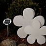 8 seasons design Shining Flower Bordlampe hvid - ø40 cm - incl. pær ansøgning billede