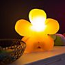8 seasons design Shining Flower Lampe de table orange - ø40 cm - incl. ampoule - incl. panneau solaire