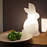 8 seasons design Shining Rabbit Lampada da tavolo bianco - 50 cm - incl. lampadina