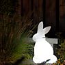 8 seasons design Shining Rabbit Lampe de table blanc - 50 cm - incl. ampoule