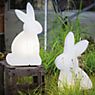 8 seasons design Shining Rabbit, lámpara de sobremesa blanco - 50 cm - incl. bombilla - ejemplo de uso previsto