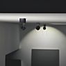 Absolut Lighting Basica Decken-/Wandleuchte LED schwarz